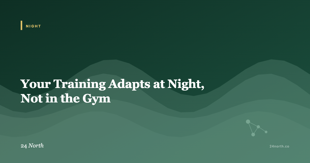 Your Training Adapts at Night, Not in the Gym — 24 North illustrated guide