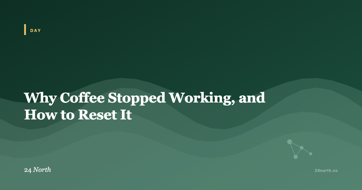 Why Coffee Stopped Working, and How to Reset It — 24 North illustrated guide