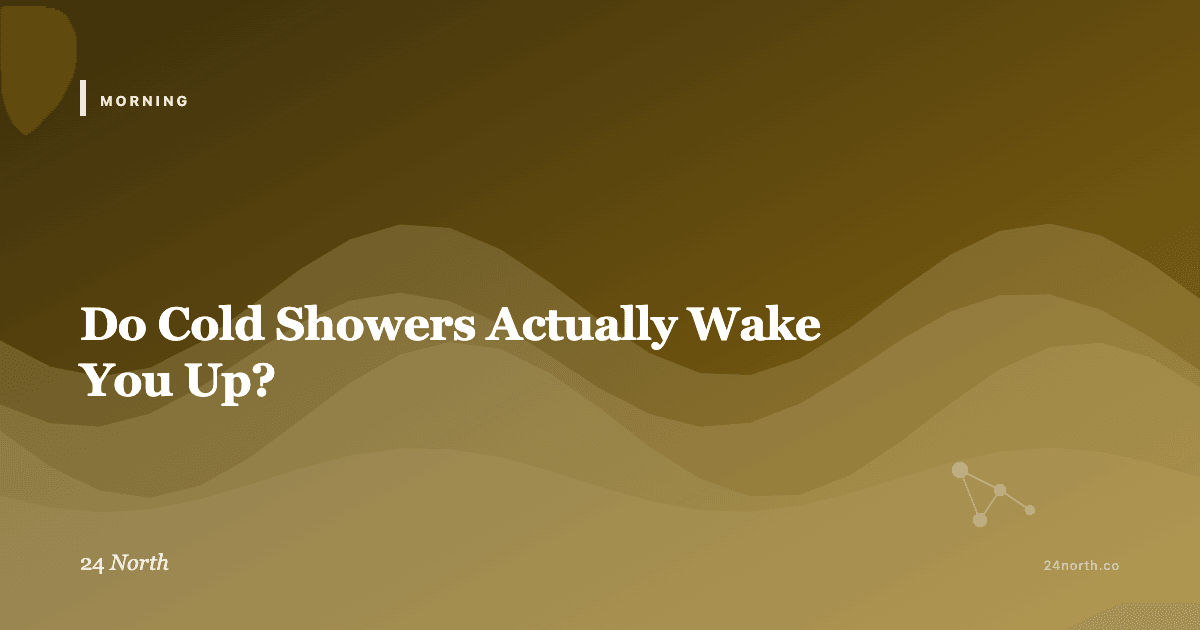 Do Cold Showers Actually Wake You Up? — 24 North illustrated guide