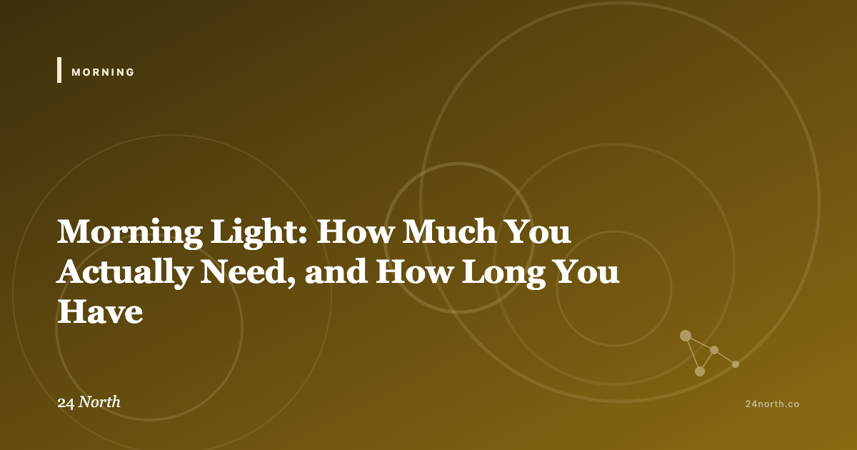 Morning Light: How Much You Actually Need, and How Long You Have — 24 North illustrated guide