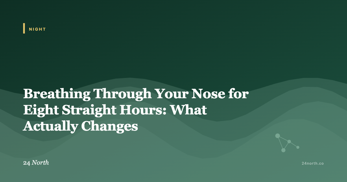 Breathing Through Your Nose for Eight Straight Hours: What Actually Changes — 24 North illustrated guide