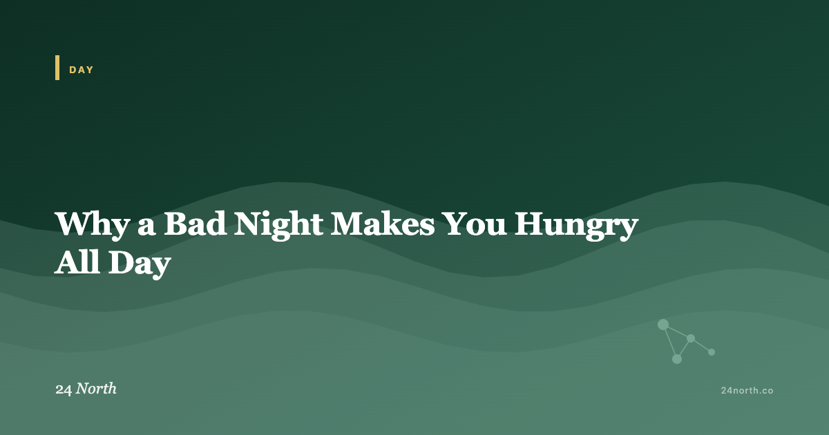 Why a Bad Night Makes You Hungry All Day — 24 North illustrated guide