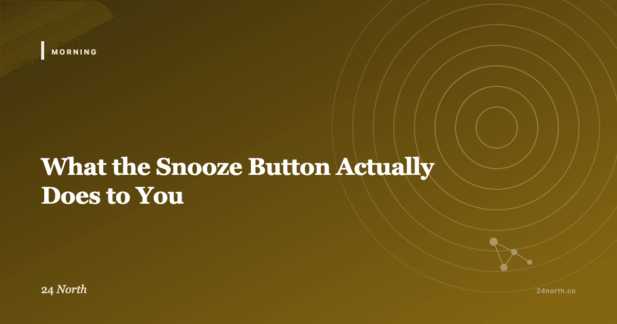 What the Snooze Button Actually Does to You — 24 North illustrated guide