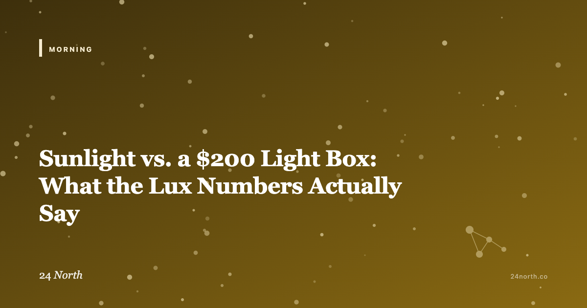 Sunlight vs. a $200 Light Box: What the Lux Numbers Actually Say — 24 North illustrated guide