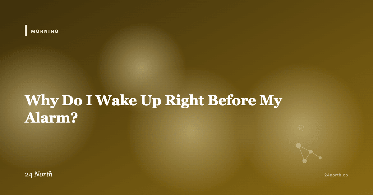 Why Do I Wake Up Right Before My Alarm? — 24 North illustrated guide