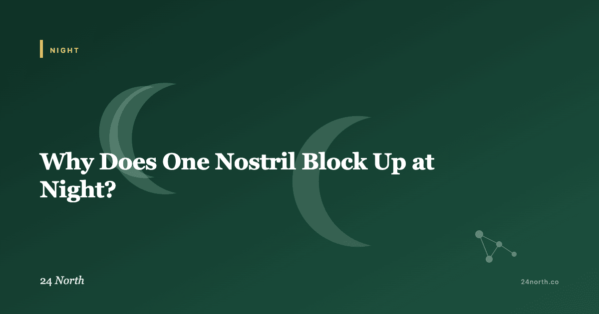 Why Does One Nostril Block Up at Night? — 24 North illustrated guide