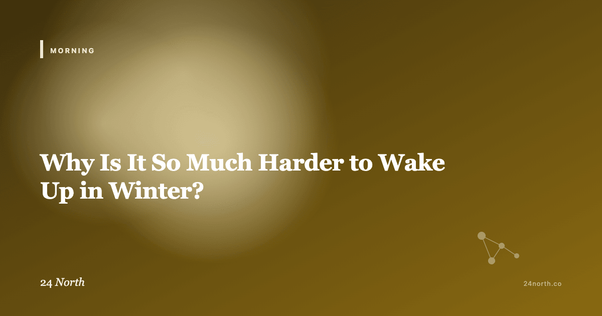 Why Is It So Much Harder to Wake Up in Winter? — 24 North illustrated guide